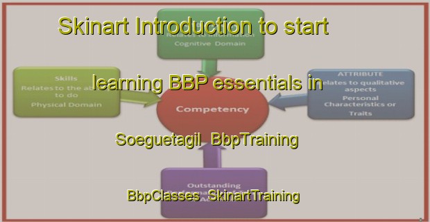 Skinart Introduction to start learning BBP essentials in Soeguetagil | BbpTraining | BbpClasses | SkinartTraining-Turkey