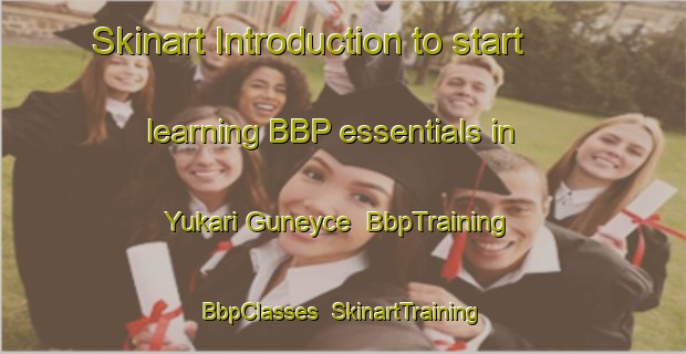 Skinart Introduction to start learning BBP essentials in Yukari Guneyce | BbpTraining | BbpClasses | SkinartTraining-Turkey