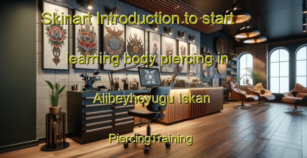 Skinart Introduction to start learning body piercing in Alibeyhoyugu Iskan | #PiercingTraining #PiercingClasses #SkinartTraining-Turkey