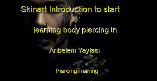 Skinart Introduction to start learning body piercing in Aribeleni Yaylasi | #PiercingTraining #PiercingClasses #SkinartTraining-Turkey