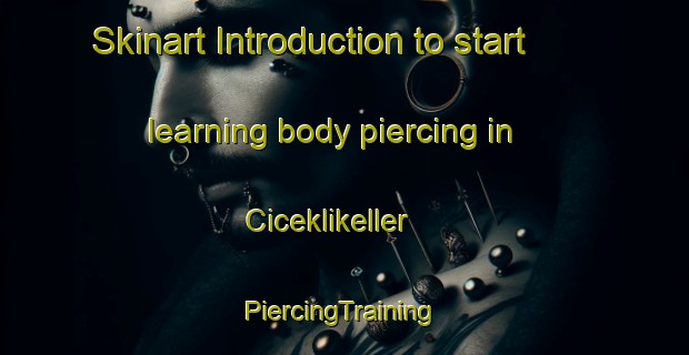 Skinart Introduction to start learning body piercing in Ciceklikeller | #PiercingTraining #PiercingClasses #SkinartTraining-Turkey