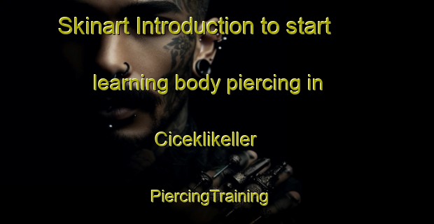 Skinart Introduction to start learning body piercing in Ciceklikeller | PiercingTraining | PiercingClasses | SkinartTraining-Turkey