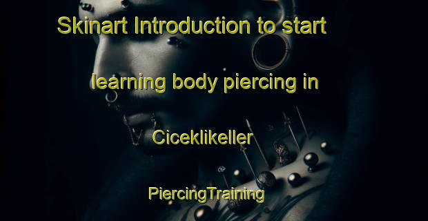 Skinart Introduction to start learning body piercing in Ciceklikeller | PiercingTraining | PiercingClasses | SkinartTraining-Turkey