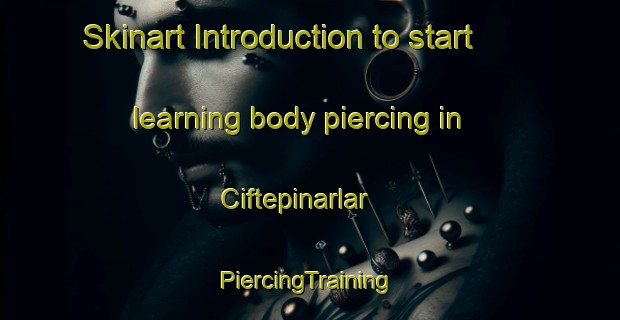 Skinart Introduction to start learning body piercing in Ciftepinarlar | #PiercingTraining #PiercingClasses #SkinartTraining-Turkey