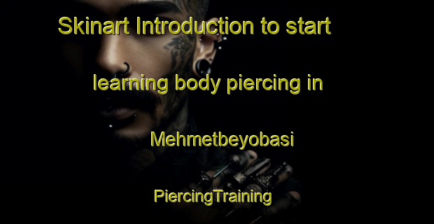 Skinart Introduction to start learning body piercing in Mehmetbeyobasi | #PiercingTraining #PiercingClasses #SkinartTraining-Turkey