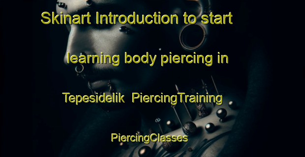 Skinart Introduction to start learning body piercing in Tepesidelik | PiercingTraining | PiercingClasses | SkinartTraining-Turkey