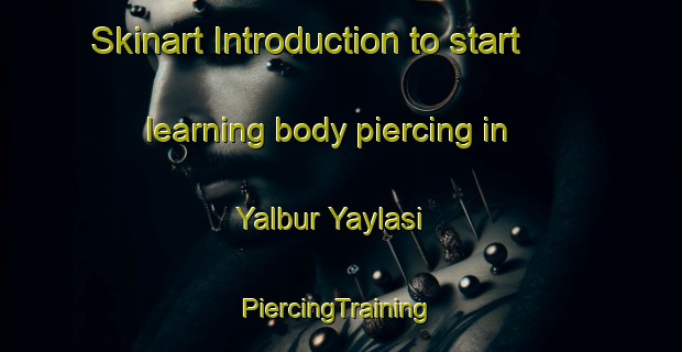 Skinart Introduction to start learning body piercing in Yalbur Yaylasi | #PiercingTraining #PiercingClasses #SkinartTraining-Turkey