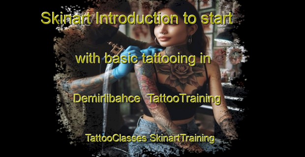 Skinart Introduction to start with basic tattooing in Demirlibahce | #TattooTraining #TattooClasses #SkinartTraining-Turkey