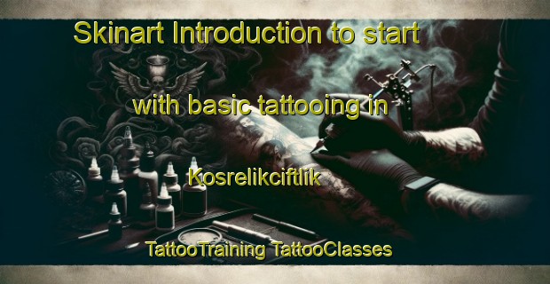 Skinart Introduction to start with basic tattooing in Kosrelikciftlik | #TattooTraining #TattooClasses #SkinartTraining-Turkey