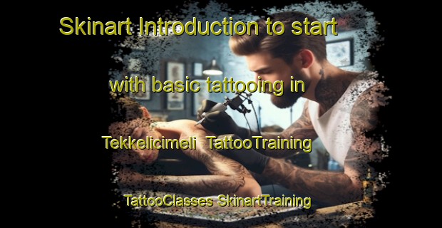 Skinart Introduction to start with basic tattooing in Tekkelicimeli | #TattooTraining #TattooClasses #SkinartTraining-Turkey