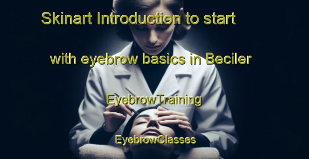 Skinart Introduction to start with eyebrow basics in Beciler | EyebrowTraining | EyebrowClasses | SkinartTraining-Turkey