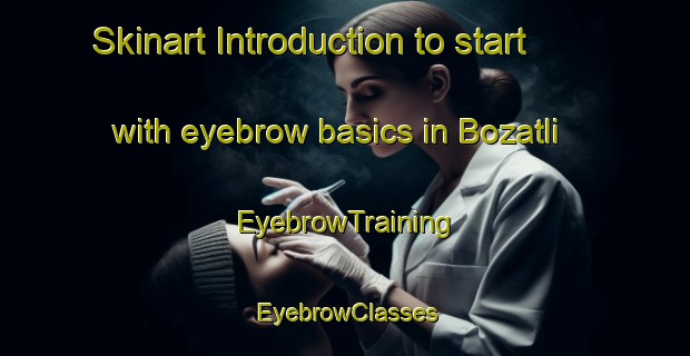 Skinart Introduction to start with eyebrow basics in Bozatli | EyebrowTraining | EyebrowClasses | SkinartTraining-Turkey