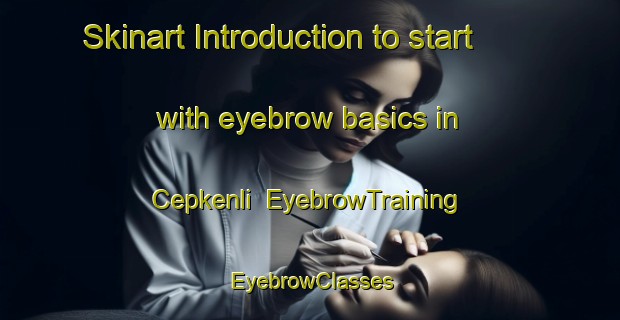 Skinart Introduction to start with eyebrow basics in Cepkenli | EyebrowTraining | EyebrowClasses | SkinartTraining-Turkey