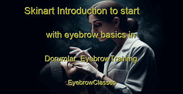 Skinart Introduction to start with eyebrow basics in Dorumlar | EyebrowTraining | EyebrowClasses | SkinartTraining-Turkey