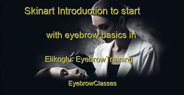 Skinart Introduction to start with eyebrow basics in Elikoglu | EyebrowTraining | EyebrowClasses | SkinartTraining-Turkey