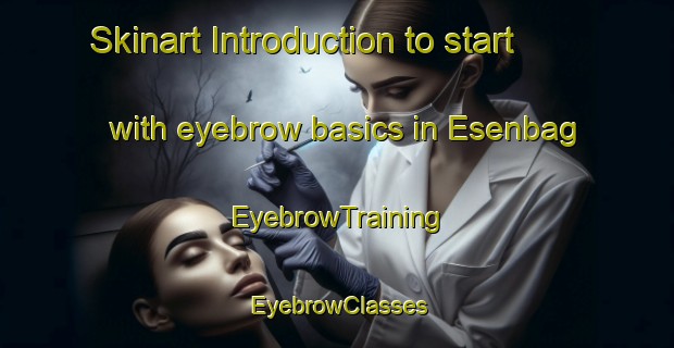 Skinart Introduction to start with eyebrow basics in Esenbag | EyebrowTraining | EyebrowClasses | SkinartTraining-Turkey