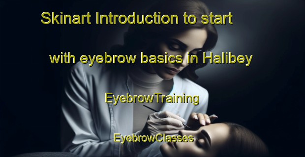 Skinart Introduction to start with eyebrow basics in Halibey | EyebrowTraining | EyebrowClasses | SkinartTraining-Turkey