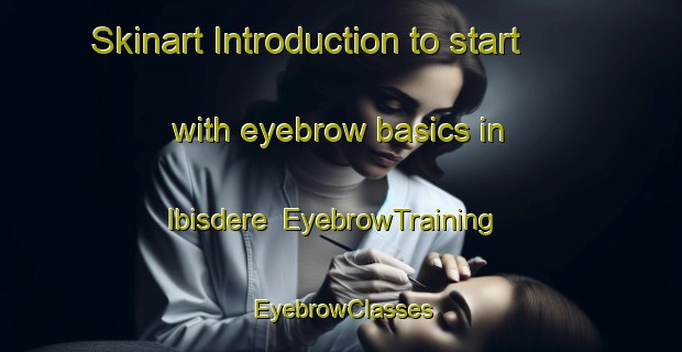 Skinart Introduction to start with eyebrow basics in Ibisdere | EyebrowTraining | EyebrowClasses | SkinartTraining-Turkey