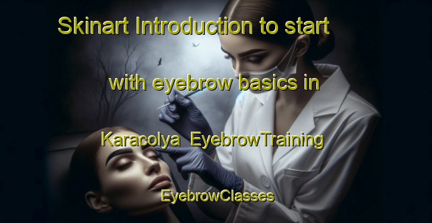 Skinart Introduction to start with eyebrow basics in Karacolya | EyebrowTraining | EyebrowClasses | SkinartTraining-Turkey