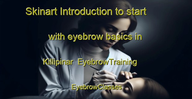 Skinart Introduction to start with eyebrow basics in Killipinar | EyebrowTraining | EyebrowClasses | SkinartTraining-Turkey