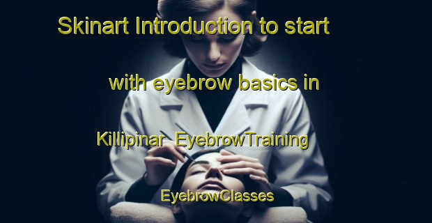Skinart Introduction to start with eyebrow basics in Killipinar | EyebrowTraining | EyebrowClasses | SkinartTraining-Turkey