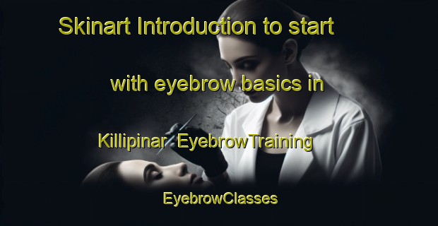 Skinart Introduction to start with eyebrow basics in Killipinar | EyebrowTraining | EyebrowClasses | SkinartTraining-Turkey