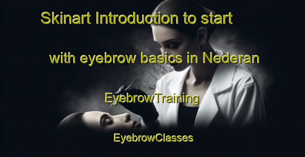 Skinart Introduction to start with eyebrow basics in Nederan | EyebrowTraining | EyebrowClasses | SkinartTraining-Turkey