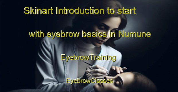 Skinart Introduction to start with eyebrow basics in Numune | EyebrowTraining | EyebrowClasses | SkinartTraining-Turkey