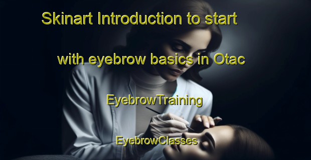 Skinart Introduction to start with eyebrow basics in Otac | EyebrowTraining | EyebrowClasses | SkinartTraining-Turkey