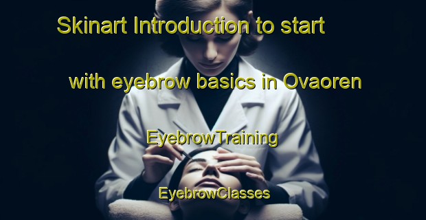 Skinart Introduction to start with eyebrow basics in Ovaoren | EyebrowTraining | EyebrowClasses | SkinartTraining-Turkey