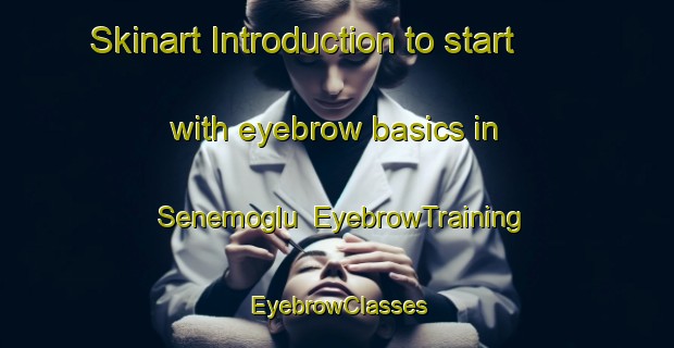 Skinart Introduction to start with eyebrow basics in Senemoglu | EyebrowTraining | EyebrowClasses | SkinartTraining-Turkey