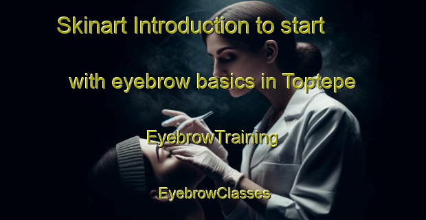 Skinart Introduction to start with eyebrow basics in Toptepe | EyebrowTraining | EyebrowClasses | SkinartTraining-Turkey