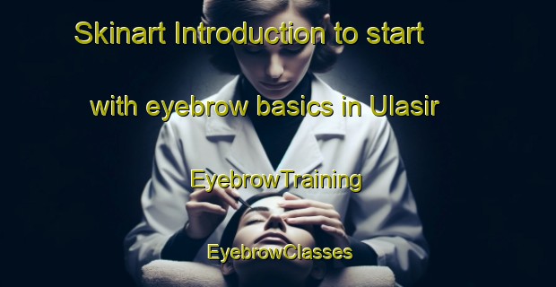 Skinart Introduction to start with eyebrow basics in Ulasir | EyebrowTraining | EyebrowClasses | SkinartTraining-Turkey