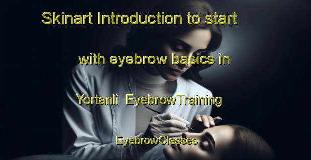 Skinart Introduction to start with eyebrow basics in Yortanli | EyebrowTraining | EyebrowClasses | SkinartTraining-Turkey