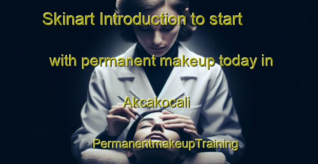 Skinart Introduction to start with permanent makeup today in Akcakocali | #PermanentmakeupTraining #PermanentmakeupClasses #SkinartTraining-Turkey