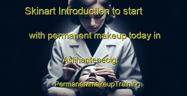 Skinart Introduction to start with permanent makeup today in Aslihantepecigi | #PermanentmakeupTraining #PermanentmakeupClasses #SkinartTraining-Turkey