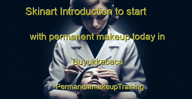 Skinart Introduction to start with permanent makeup today in Buyukkabaca | #PermanentmakeupTraining #PermanentmakeupClasses #SkinartTraining-Turkey