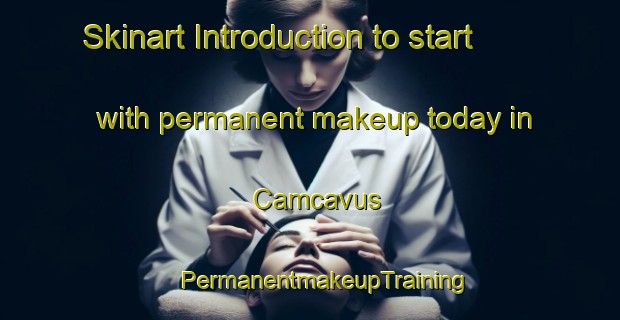 Skinart Introduction to start with permanent makeup today in Camcavus | #PermanentmakeupTraining #PermanentmakeupClasses #SkinartTraining-Turkey