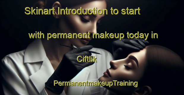 Skinart Introduction to start with permanent makeup today in Ciftlik | #PermanentmakeupTraining #PermanentmakeupClasses #SkinartTraining-Turkey