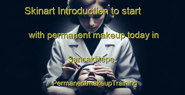 Skinart Introduction to start with permanent makeup today in Sancaklitepe | PermanentmakeupTraining | PermanentmakeupClasses | SkinartTraining-Turkey