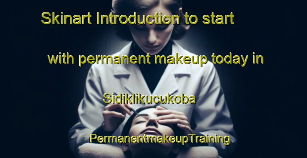 Skinart Introduction to start with permanent makeup today in Sidiklikucukoba | #PermanentmakeupTraining #PermanentmakeupClasses #SkinartTraining-Turkey