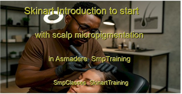 Skinart Introduction to start with scalp micropigmentation in Asmadere | SmpTraining | SmpClasses | SkinartTraining-Turkey