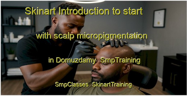 Skinart Introduction to start with scalp micropigmentation in Domuzdamy | SmpTraining | SmpClasses | SkinartTraining-Turkey