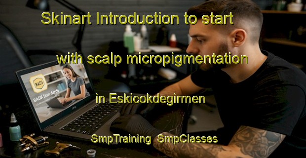 Skinart Introduction to start with scalp micropigmentation in Eskicokdegirmen | SmpTraining | SmpClasses | SkinartTraining-Turkey