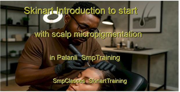 Skinart Introduction to start with scalp micropigmentation in Palanli | SmpTraining | SmpClasses | SkinartTraining-Turkey
