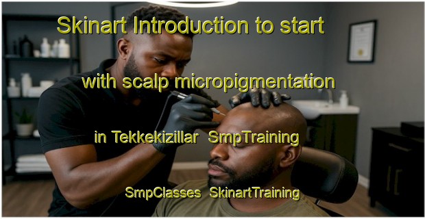Skinart Introduction to start with scalp micropigmentation in Tekkekizillar | SmpTraining | SmpClasses | SkinartTraining-Turkey