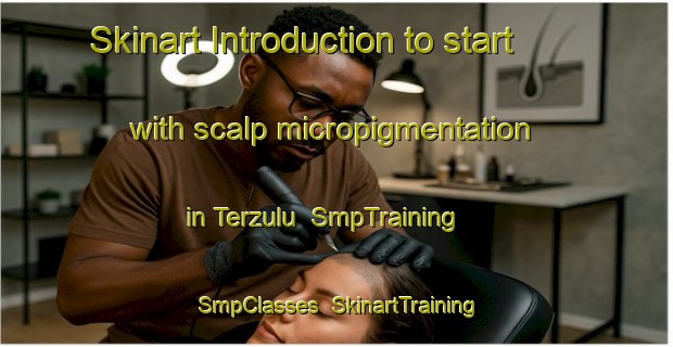 Skinart Introduction to start with scalp micropigmentation in Terzulu | SmpTraining | SmpClasses | SkinartTraining-Turkey