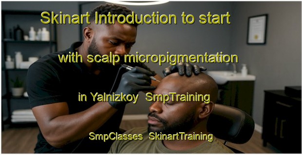 Skinart Introduction to start with scalp micropigmentation in Yalnizkoy | SmpTraining | SmpClasses | SkinartTraining-Turkey