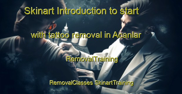 Skinart Introduction to start with tattoo removal in Acanlar | #RemovalTraining #RemovalClasses #SkinartTraining-Turkey