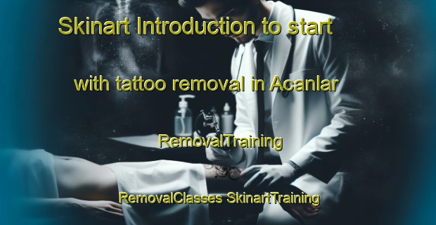 Skinart Introduction to start with tattoo removal in Acanlar | #RemovalTraining #RemovalClasses #SkinartTraining-Turkey